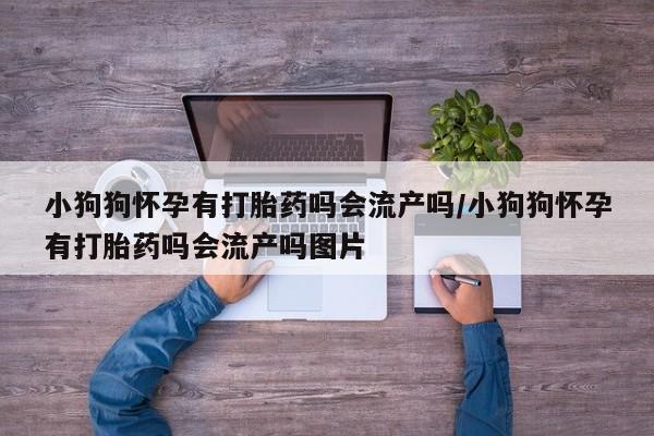 打胎药私人店联系方式小狗狗怀孕有打胎药吗会流产吗/小狗狗怀孕有打胎药吗会流产吗图片