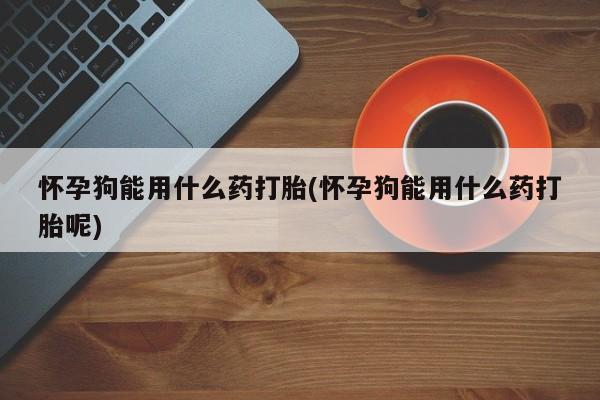 打胎药私人店联系方式怀孕狗能用什么药打胎(怀孕狗能用什么药打胎呢)